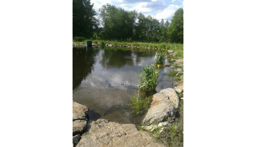 Penzion U Bořka Bělá pod Pradědem